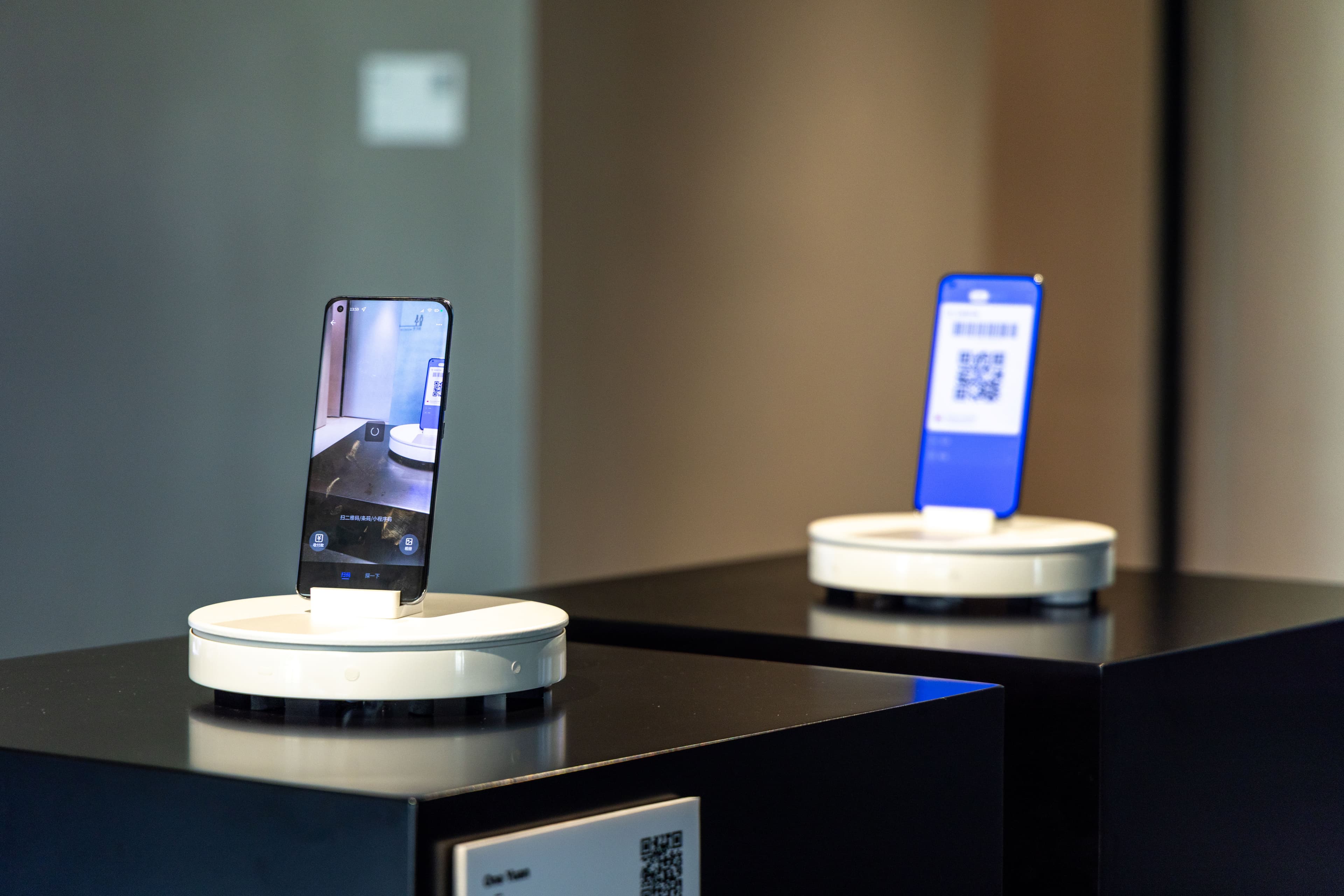 Sybiotic Signals: Entangled Perceptions and Algorithms exhibition view 1