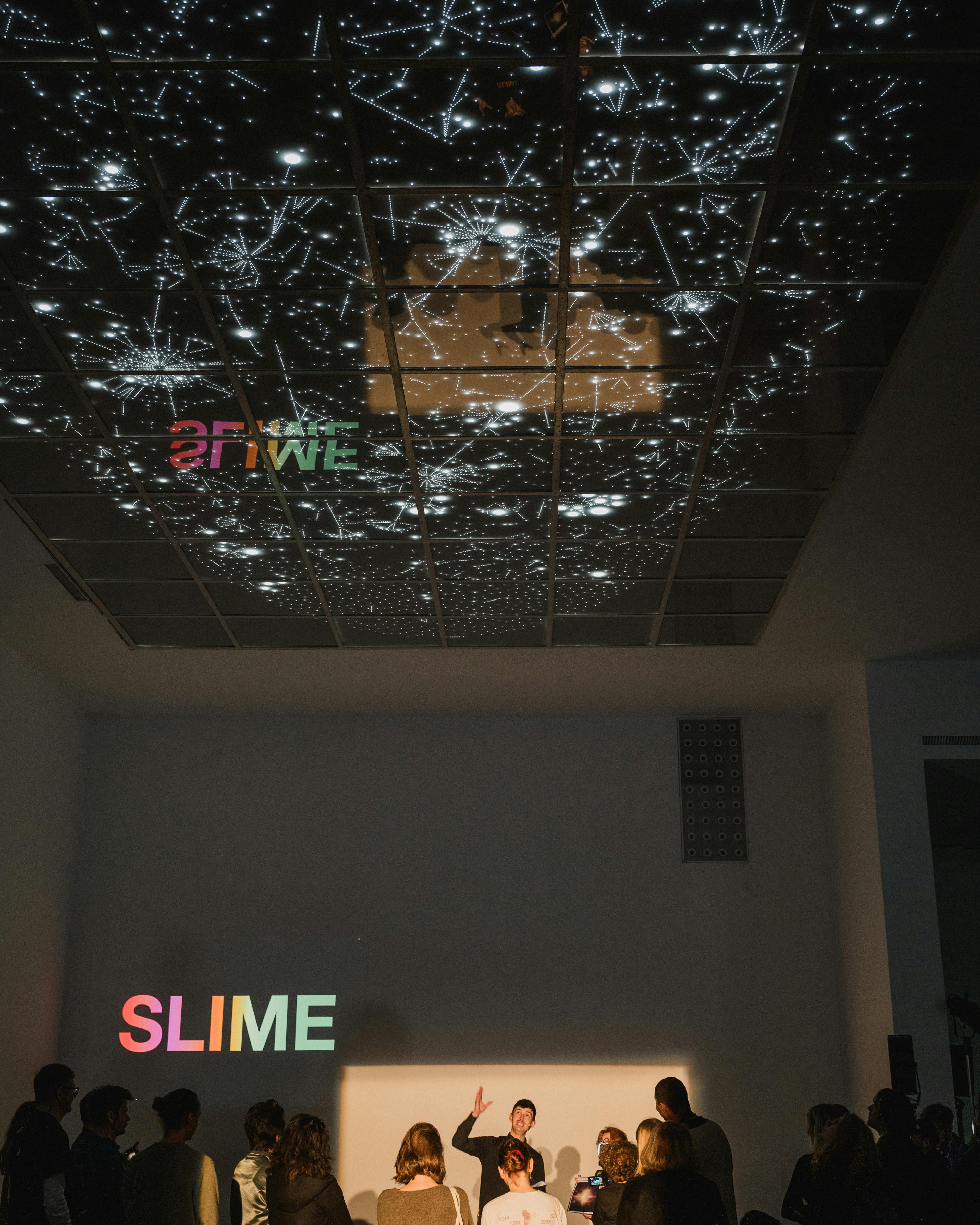SLIME. Curated by Joshua Simon  exhibition view 2